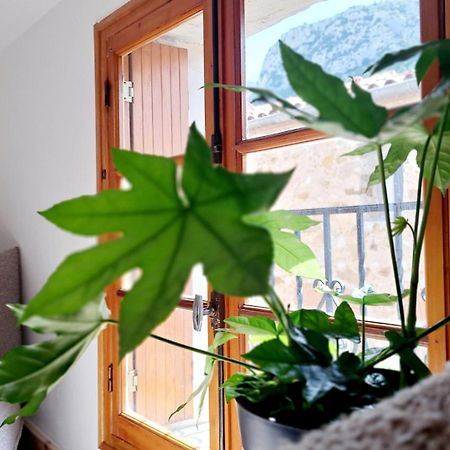 Casa Tramuntana 호텔 Tautavel 외부 사진