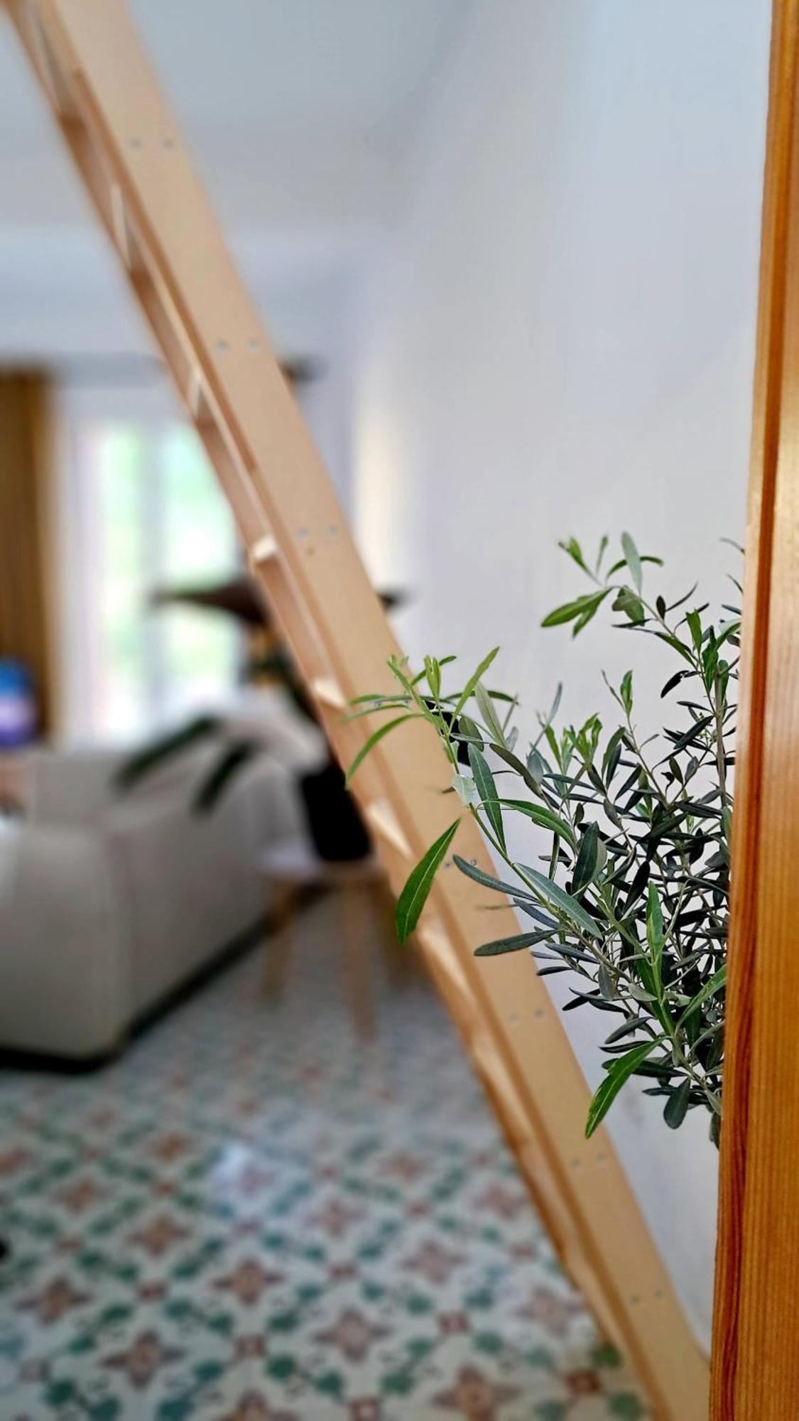 Casa Tramuntana 호텔 Tautavel 외부 사진